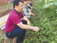 干事办法多 遇事不推脱——记湖北枣阳七方镇党委书记程建胜