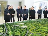 习近平：推动形成优势互补高质量发展的区域经济布局