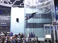 初二年级社会实践活动总结