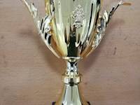 喜报——我校女篮荣获“湖南省耐克杯三人制篮球赛”亚军