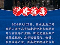 这些富民产业吸引了总书记目光