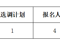 银河国际2021年选调工作人员报名情况的通知