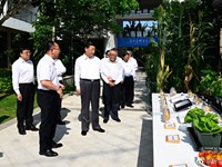 习近平：只有攥紧中国种子，才能端稳中国饭碗