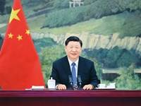 习近平：坚定不移走中国人权发展道路 更好推动我国人权事业发展