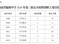 银河国际2024年第三轮公开招聘教职工报名情况的公告