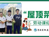快来围观！屋顶菜园欢乐开“种”| 银河国际“屋顶菜园”劳动课纪实